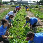 team building ecoconstruction jardinage