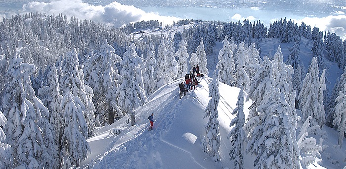 Les atouts d’un team building en montagne